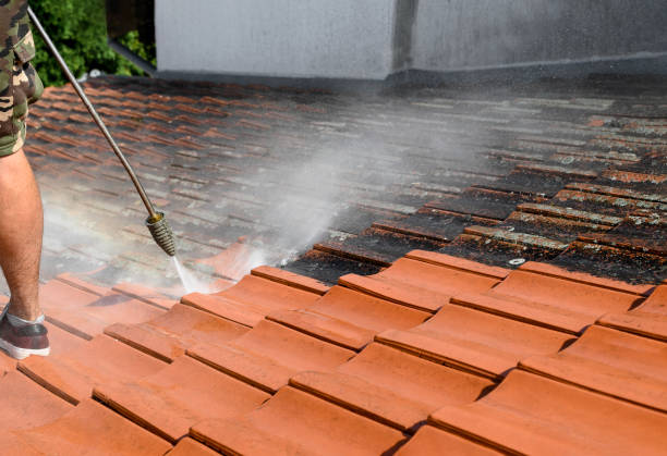 Best Sidewalk Pressure Washing  in Lincolnwood, IL