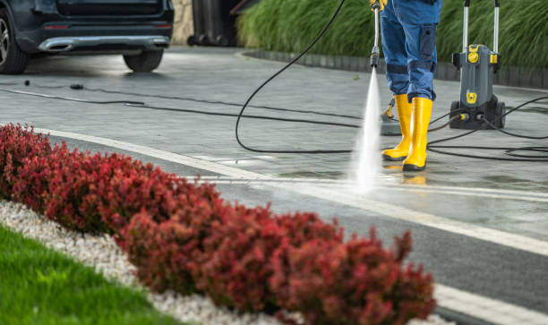 Best Garage Pressure Washing  in Lincolnwood, IL
