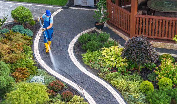 Best Roof Pressure Washing  in Lincolnwood, IL