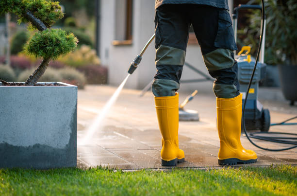 Best Roof Power Washing Services  in Lincolnwood, IL